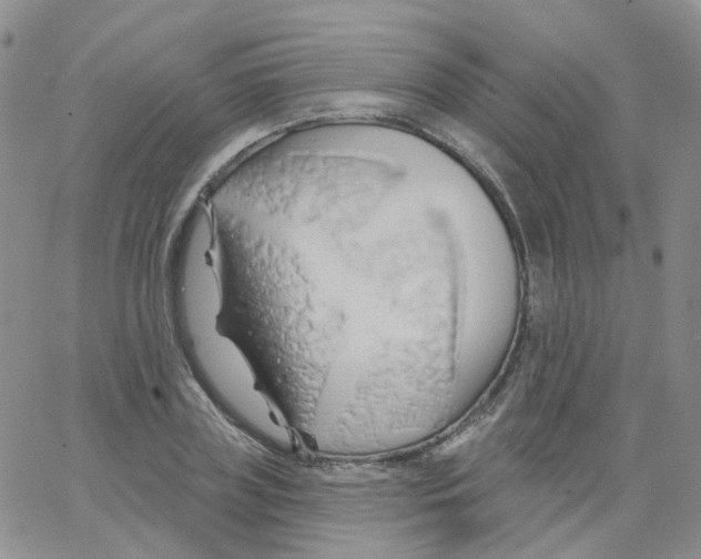 X0000062910835200602101830