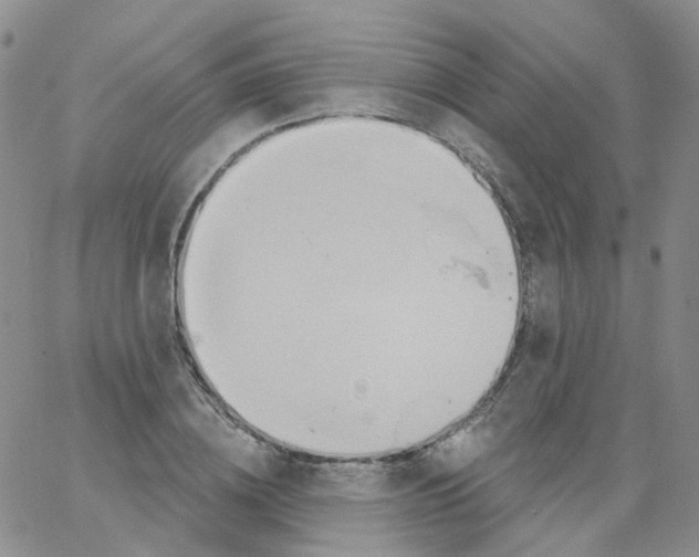 X0000062910836200602101830