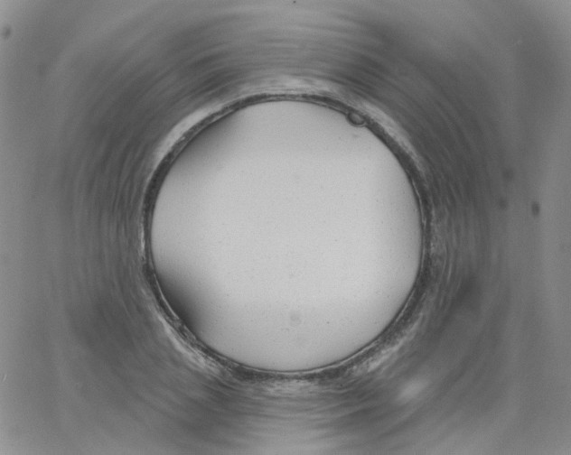 X0000062910837200602101830