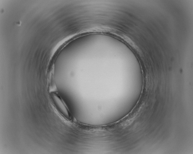 X0000062910838200602101830