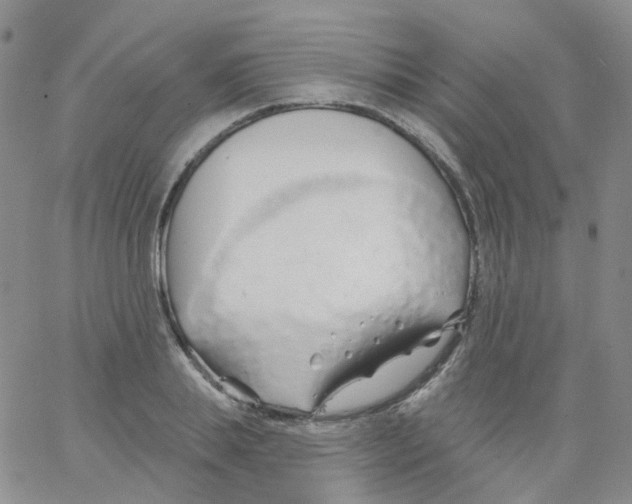 X0000062910839200602101830