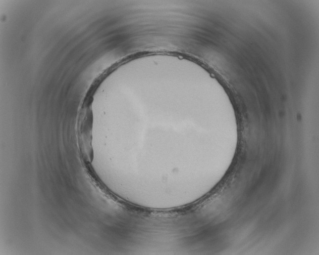 X0000062910840200602101830