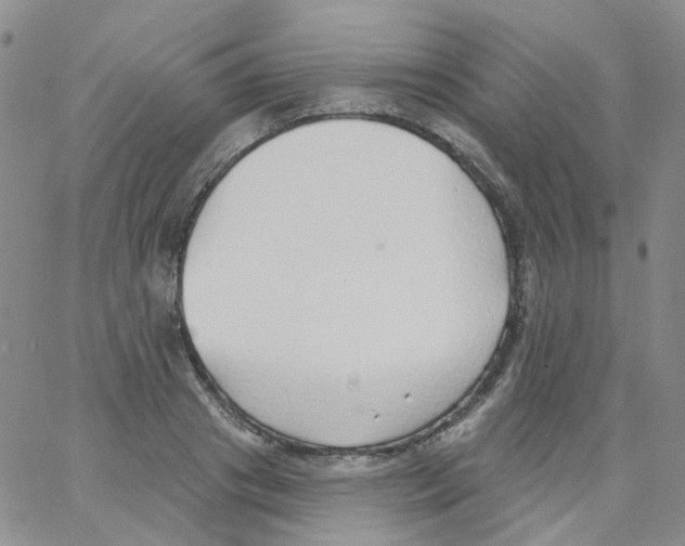 X0000062910841200602101830