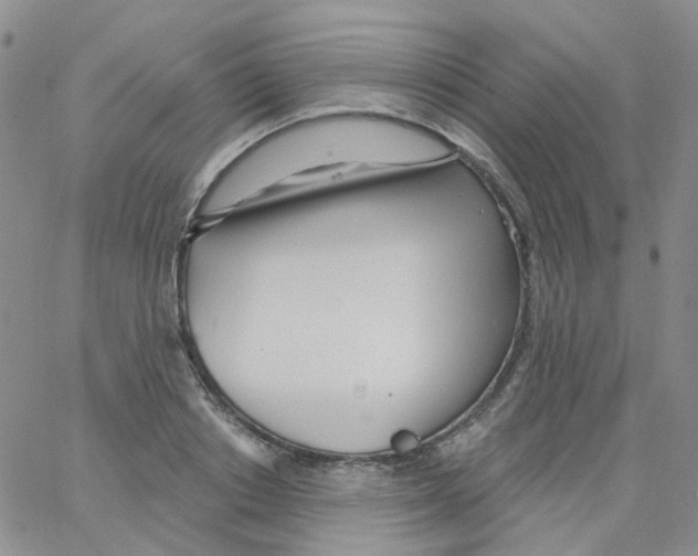 X0000062910842200602101830