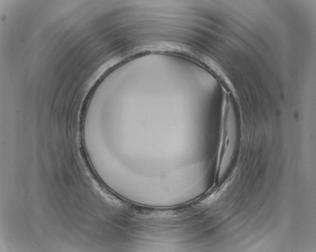 X0000062910845200602101830