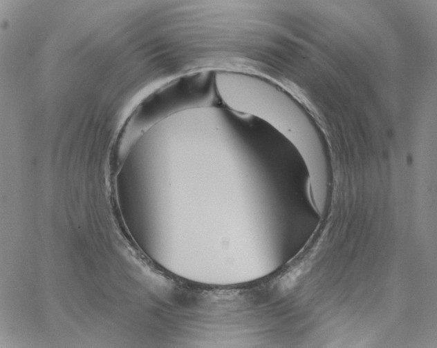 X0000062910846200602101830