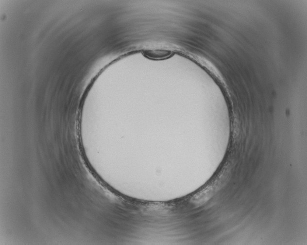 X0000062910847200602101830