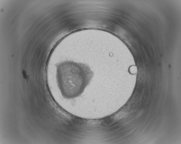 X0000062910848200602101830