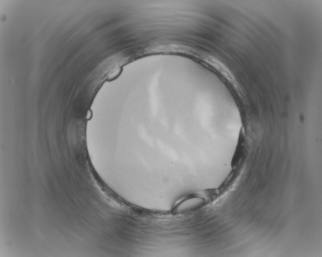 X0000062910849200602101830