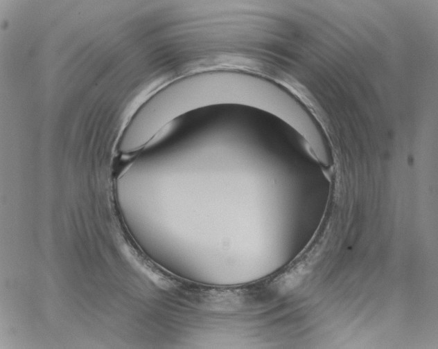 X0000062910850200602101830