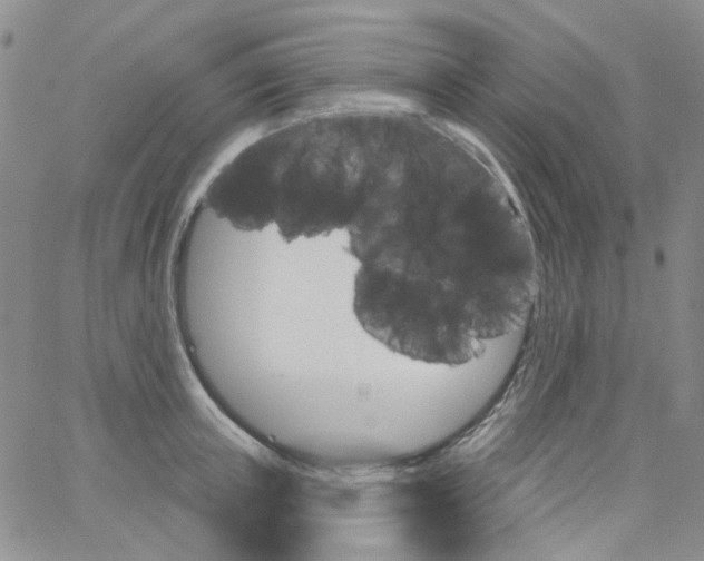 X0000062910851200602101830