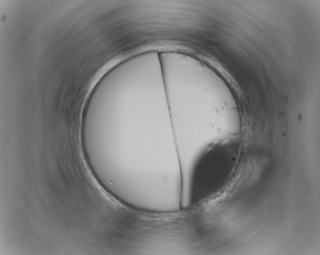 X0000062910853200602101830