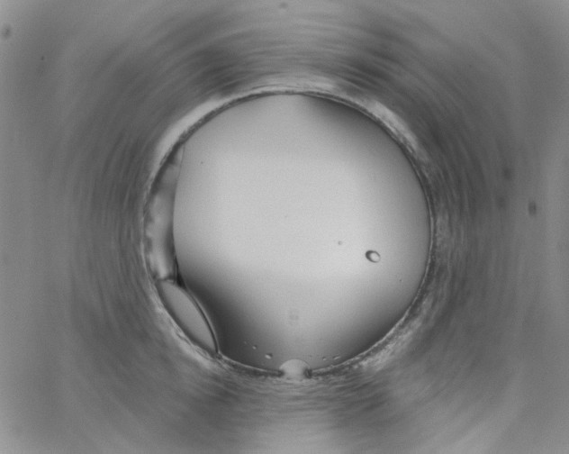 X0000062910854200602101830