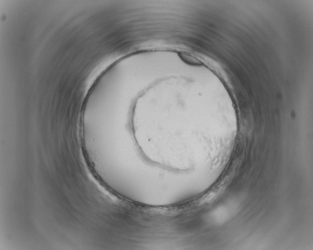 X0000062910855200602101830