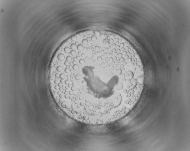 X0000062910856200602101830