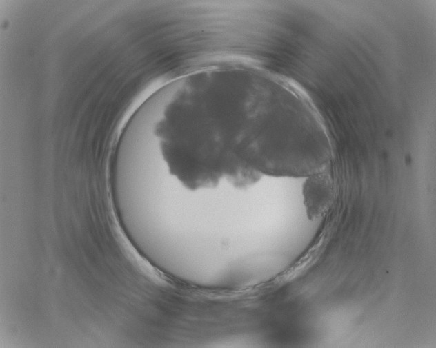 X0000062910859200602101830