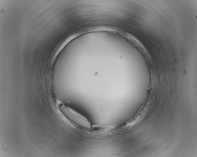 X0000062910860200602101830