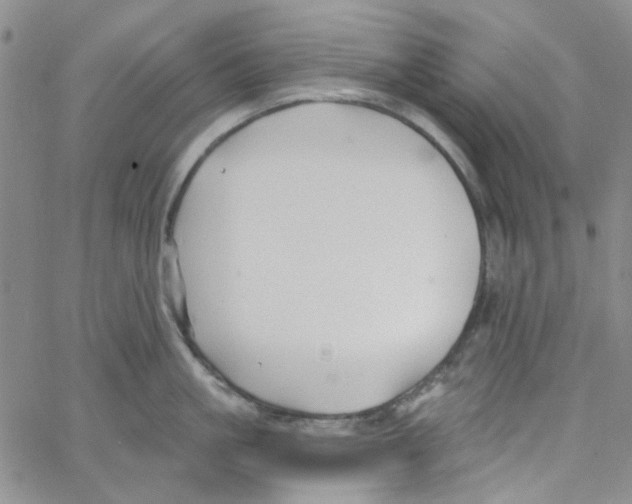 X0000062910861200602101830