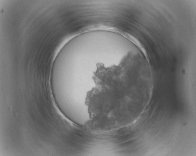 X0000062910863200602101830