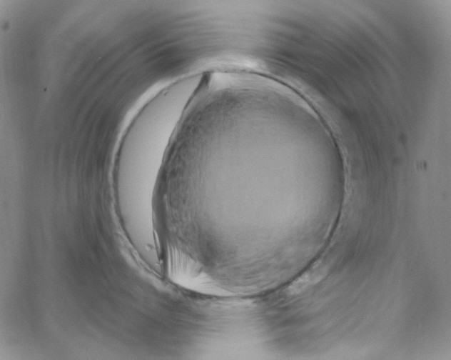 X0000062910864200602101830