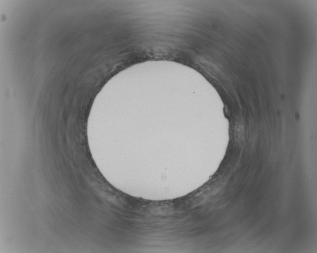 X0000062910865200602101829