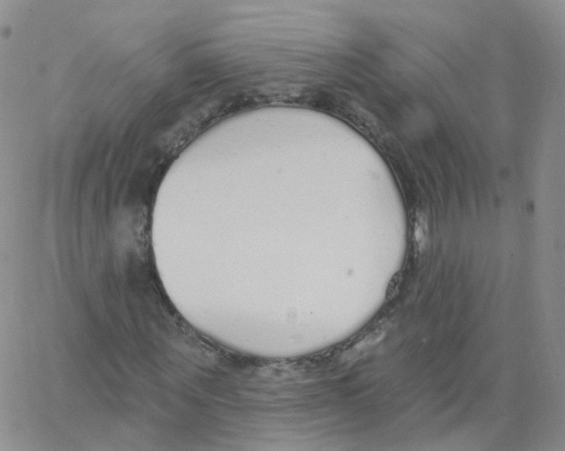 X0000062910867200602101829