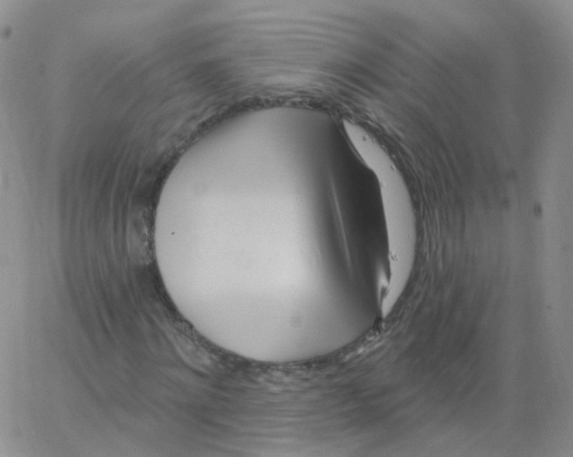 X0000062910868200602101829