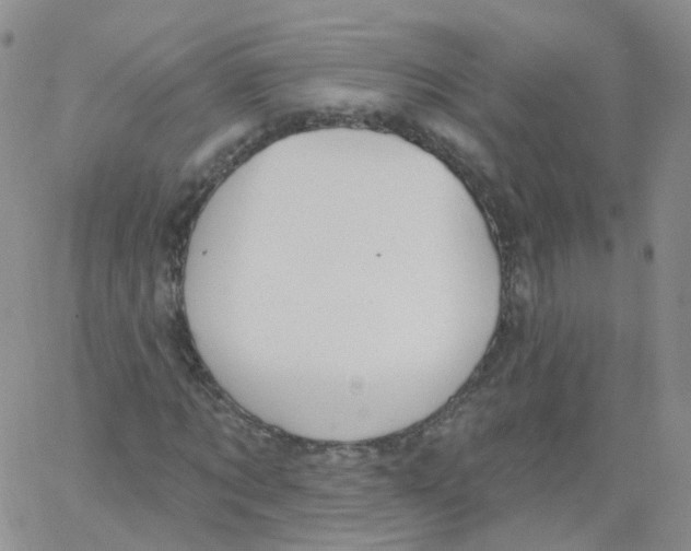 X0000062910869200602101829