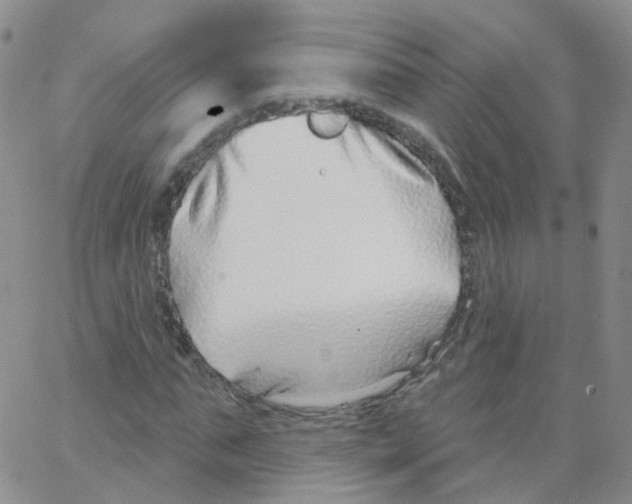 X0000062910871200602101829