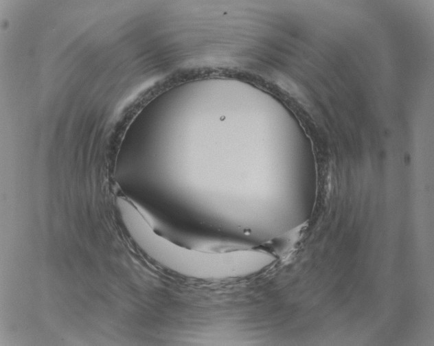 X0000062910872200602101829