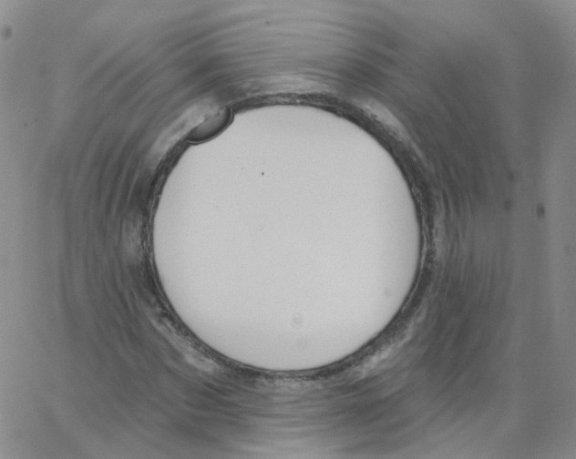 X0000062910873200602101829