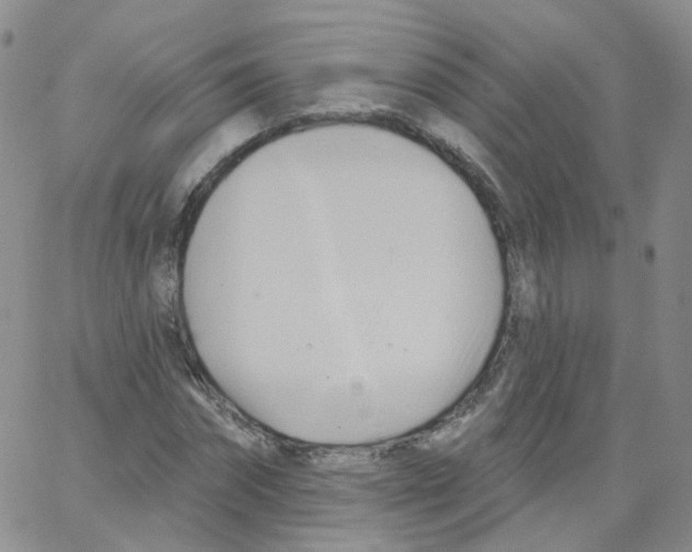 X0000062910874200602101829