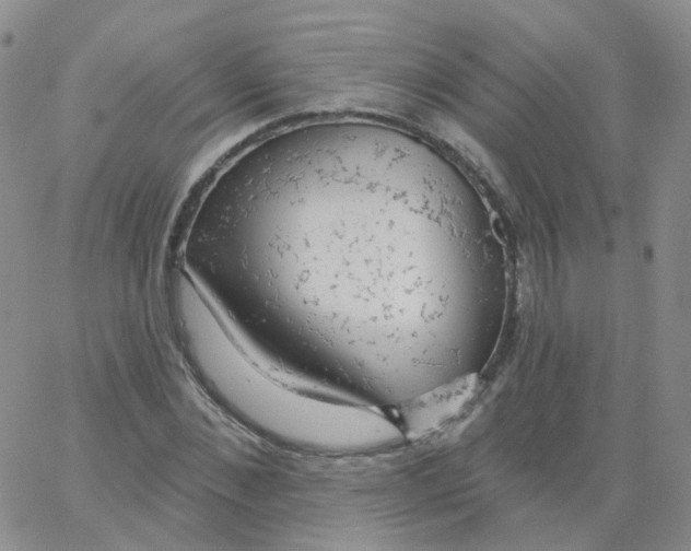 X0000062910876200602101829