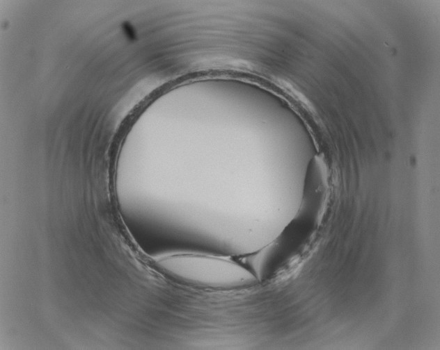 X0000062910877200602101829