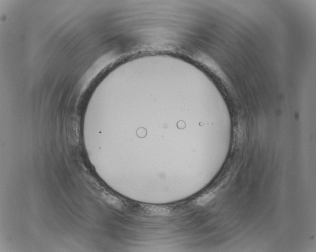 X0000062910878200602101829