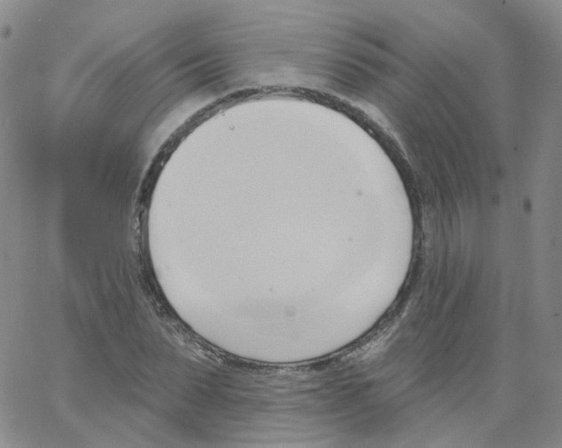 X0000062910879200602101829