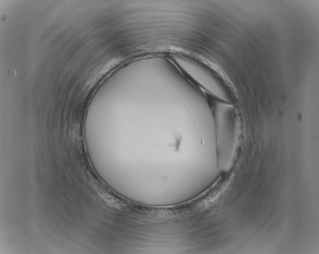 X0000062910881200602101829