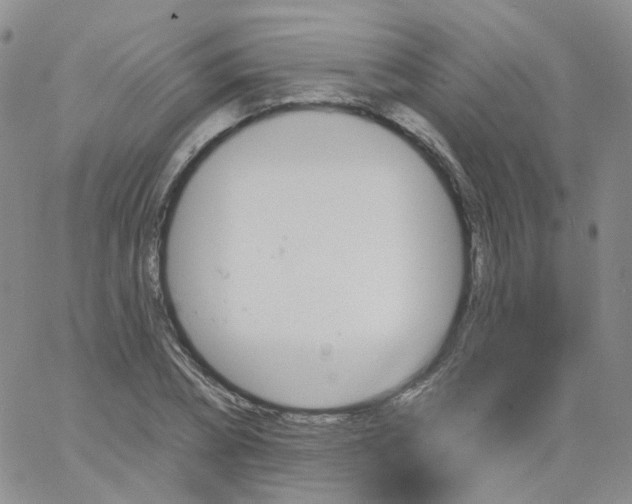 X0000062910882200602101829