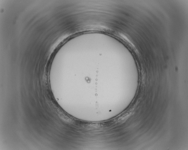 X0000062910883200602101829