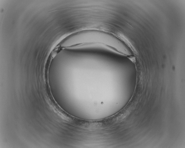 X0000062910884200602101829