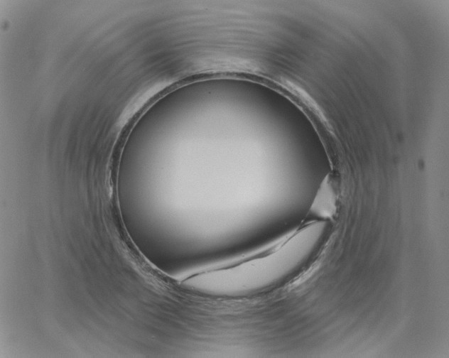 X0000062910885200602101829