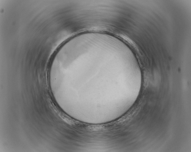 X0000062910886200602101829