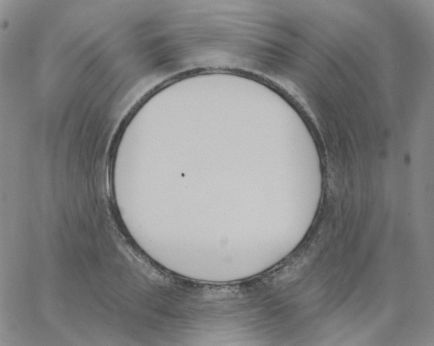 X0000062910887200602101829