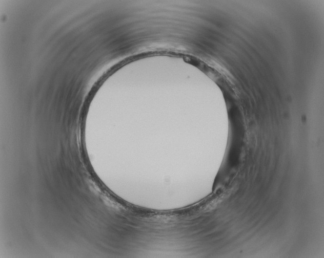 X0000062910888200602101829