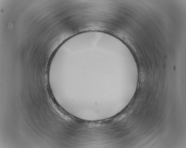 X0000062910890200602101829