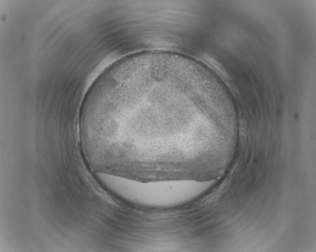 X0000062910891200602101829