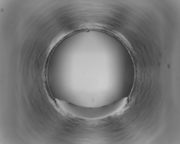 X0000062910893200602101829