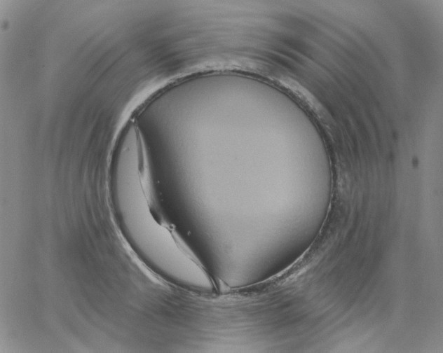 X0000062910894200602101829