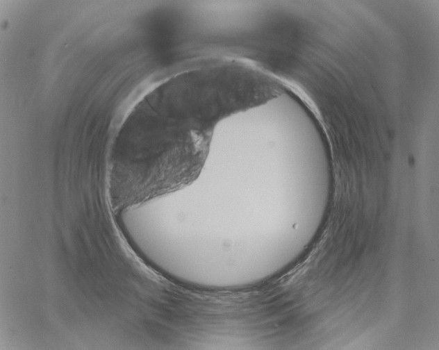 X0000062910895200602101829