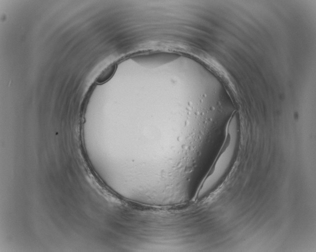 X0000062910896200602101829